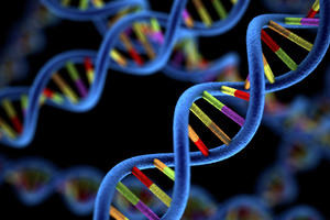 Genomics and a DNA helix model