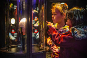 Two young girls looking closely and pointing excitedly at a Moa egg in a glass case within the Te Taiao Nature exhibition at Te Papa Tongarewa